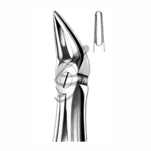Zahnzange Fig 30