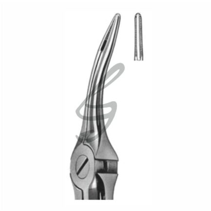 Zahnzangen Fig 49