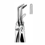Zahnzangen Fig 146