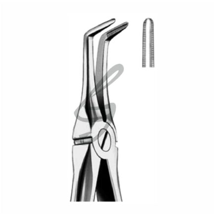 Zahnzangen Fig 146