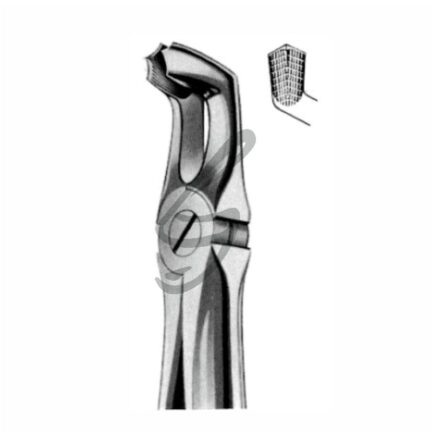 Zahnzangen Fig. 79