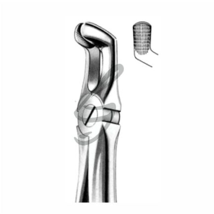 Zahnzange Fig 79A