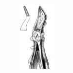 Kinder-Zahnzange Fig 51S