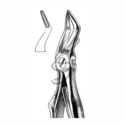 Kinder-Zahnzange Fig 51S