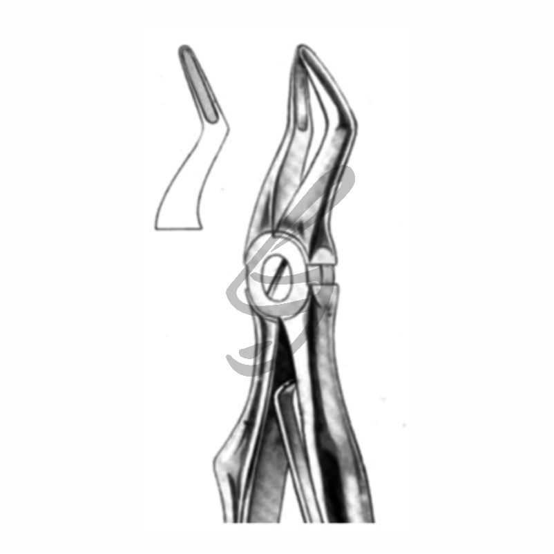 12-48-004 -Kinder-Zahnzange Fig 51S Kinder-Zahnzange Fig 51S