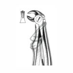 Kinder-Zahnzange Fig 6