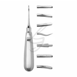 Luxating wurzlheber edelstahl