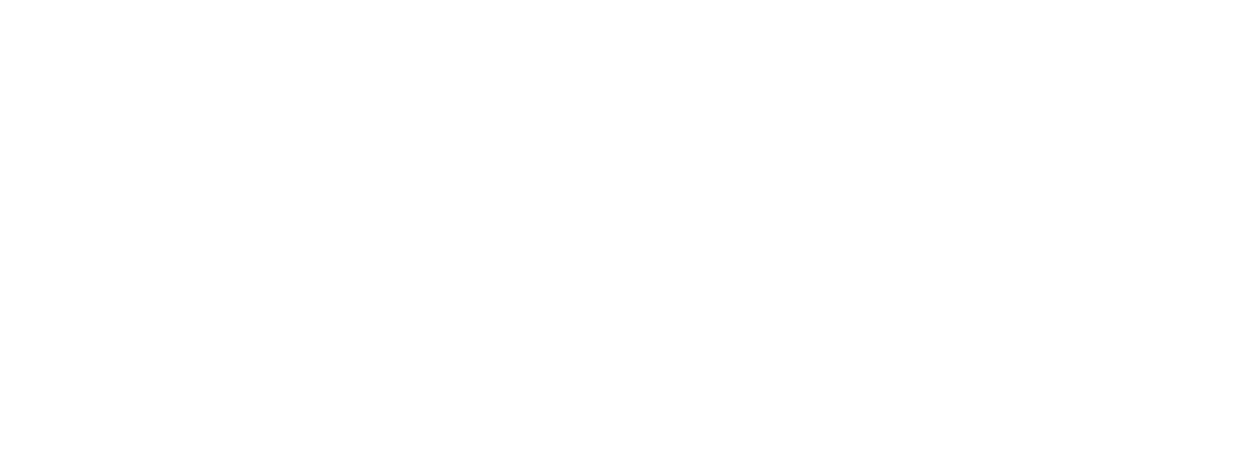 Soligs